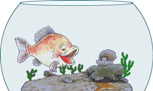 Gif animé bon anniversaire poisson